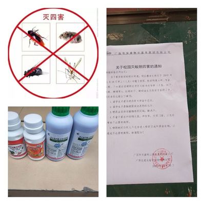 滅鼠工作簡報(bào) 害蟲防治服務(wù)的全面策略與成效