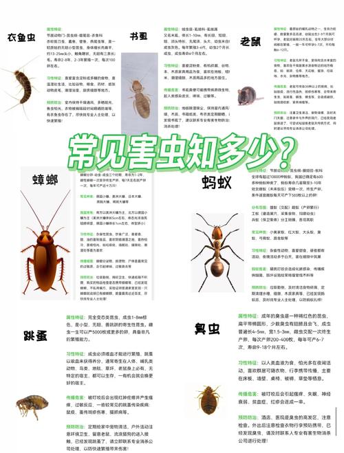 家中常見害蟲防治指南 衣魚與書虱的識別、預(yù)防與專業(yè)服務(wù)