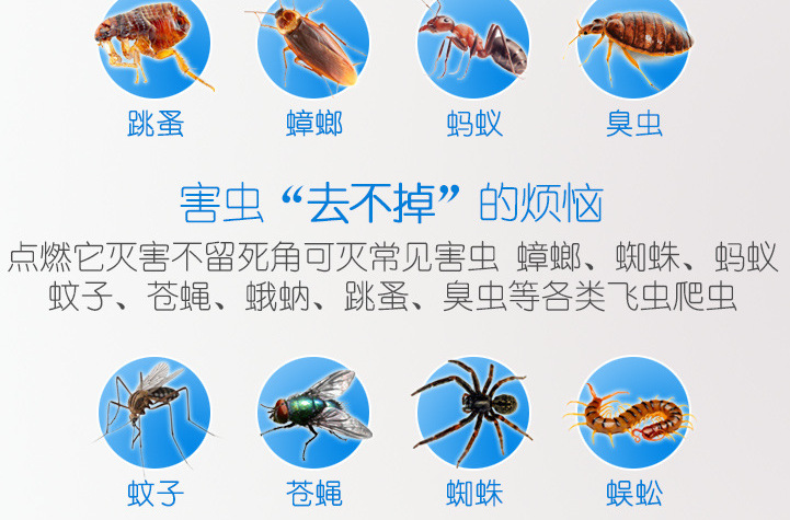 冠康殺蟑煙劑 全面害蟲防治的一站式解決方案