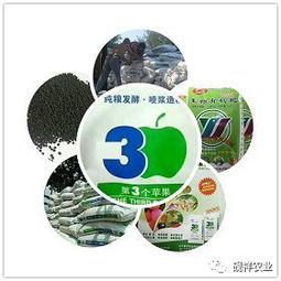 辣椒與青椒常見害蟲防治全攻略 高效護(hù)航蔬菜種植
