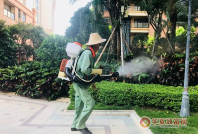 加盟滅四害公司 開啟害蟲防治服務(wù)的致富新路徑